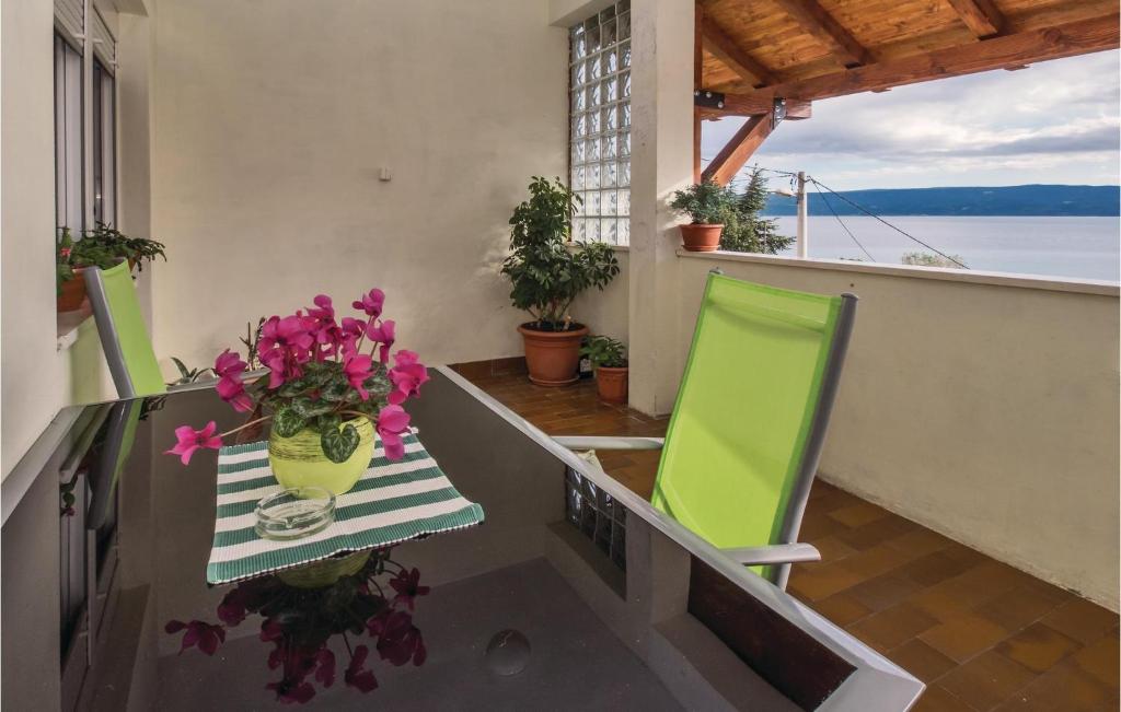 Príroda v okolí apartmánu