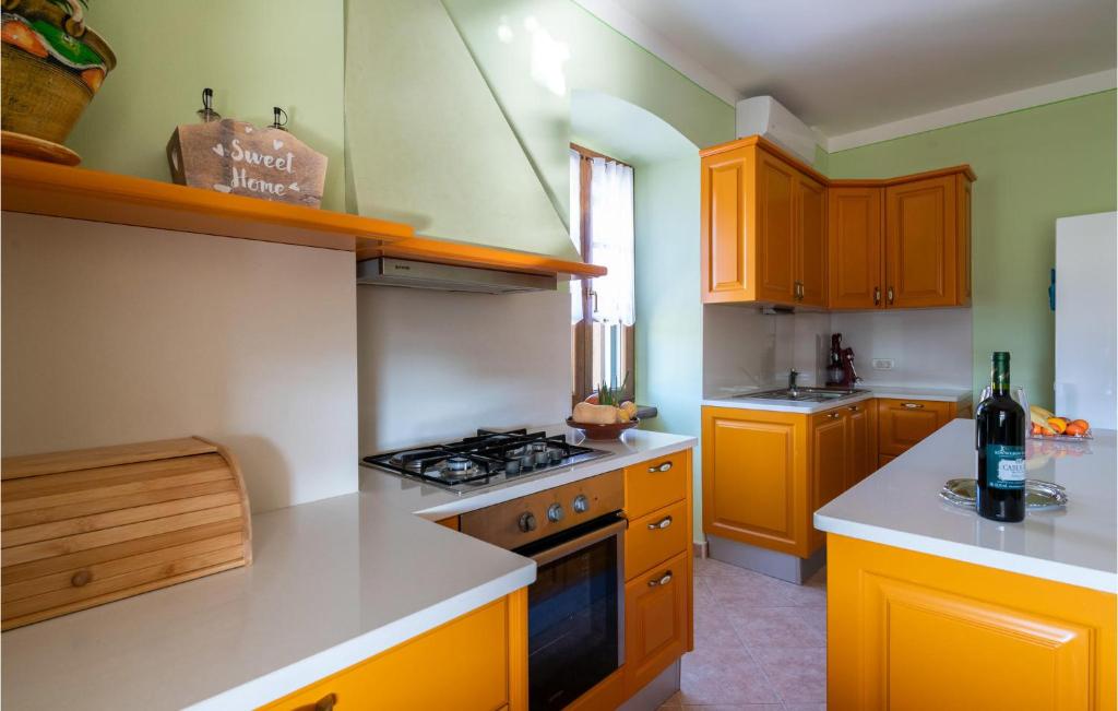Kuchyň nebo kuchyňský kout v ubytování Villa Milena