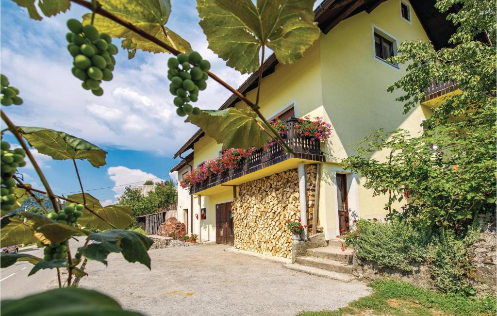 Gorgeous Apartment In Lokve With Wifi