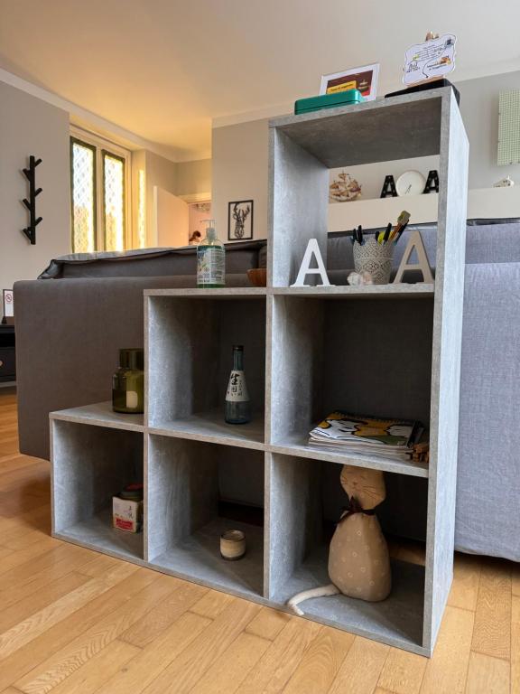 Knihovna v apartmánu