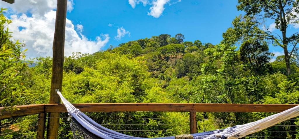 a hammock with a view of a forest at Cores e Flores da Serra Pousada by Concavus in Santo Antônio do Pinhal