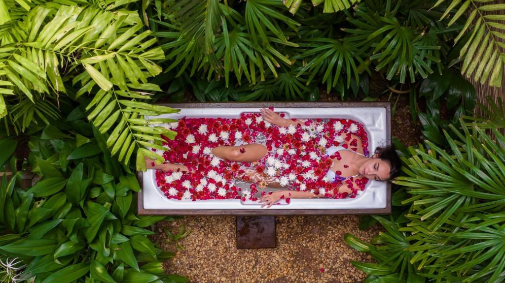 A garden outside Aditya Resort