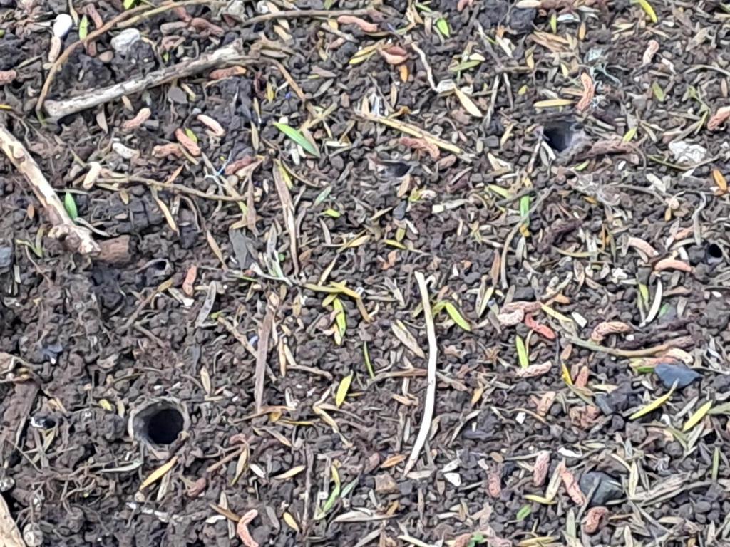 Keriwin House - Resim 26