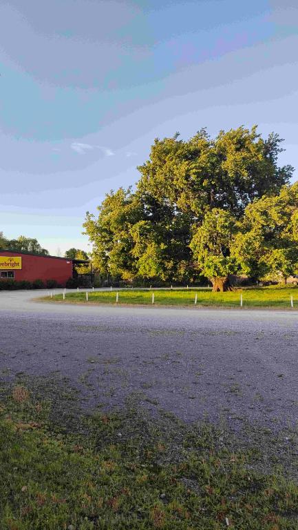 Fotografie z fotogalerie ubytování The container stay v destinaci Appleby