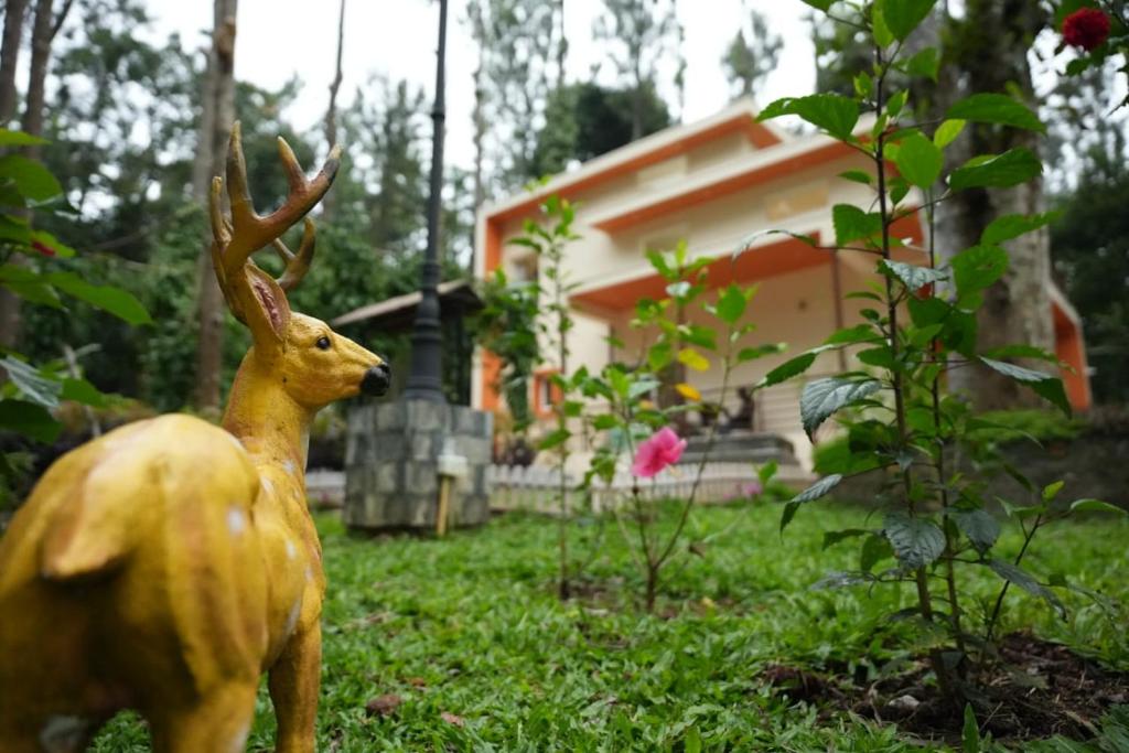 Aed väljaspool majutusasutust The Great Escape at Yercaud