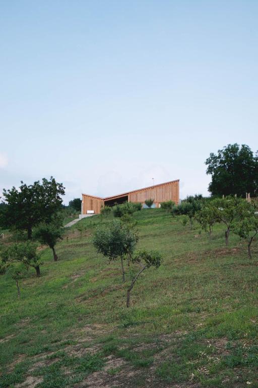 a building on top of a hill with trees at Szegzárd - the lodge in Szekszárd