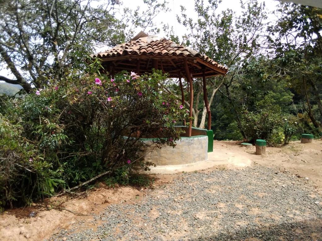 奥希亚Ohiya View Resort的鲜花盛开的花园中的凉亭
