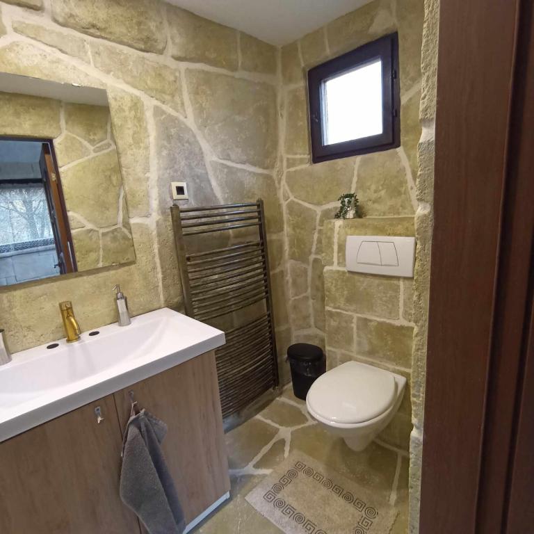 a stone bathroom with a sink and a toilet at Forest Hide Tiny House in Covasna