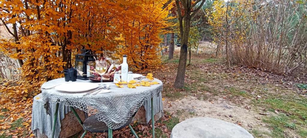a table with bottles of wine and fruit on it at Forest Hide Tiny House in Covasna