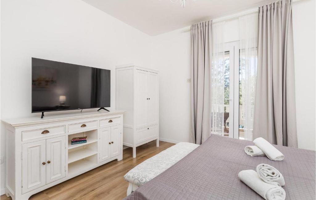 Telewizja i/lub zestaw kina domowego w obiekcie Amazing Apartment In Stara Novalja