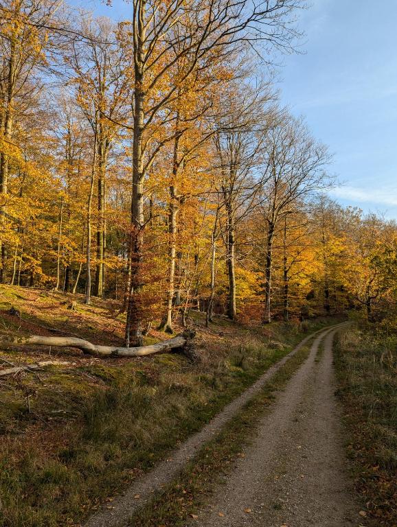 Příroda nedaleko apartmánu