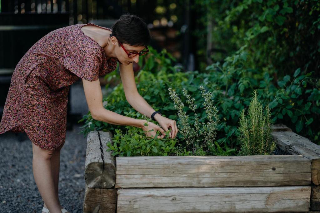 Zahrada ubytování AIVA Glamping