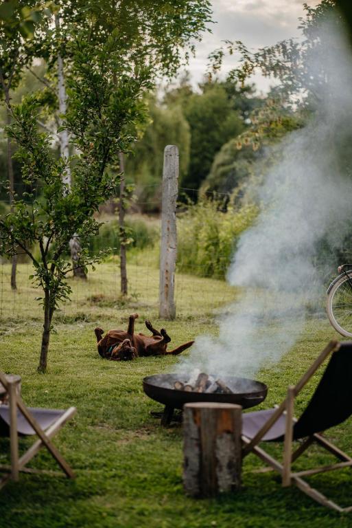 Fotografie z fotogalerie ubytování AIVA Glamping v destinaci Partizánske