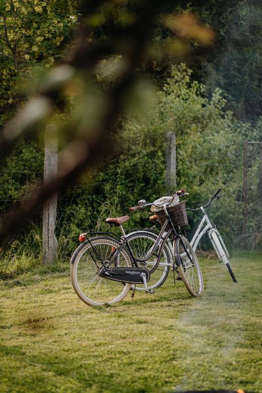 Jízda na kole v ubytování AIVA Glamping nebo okolí