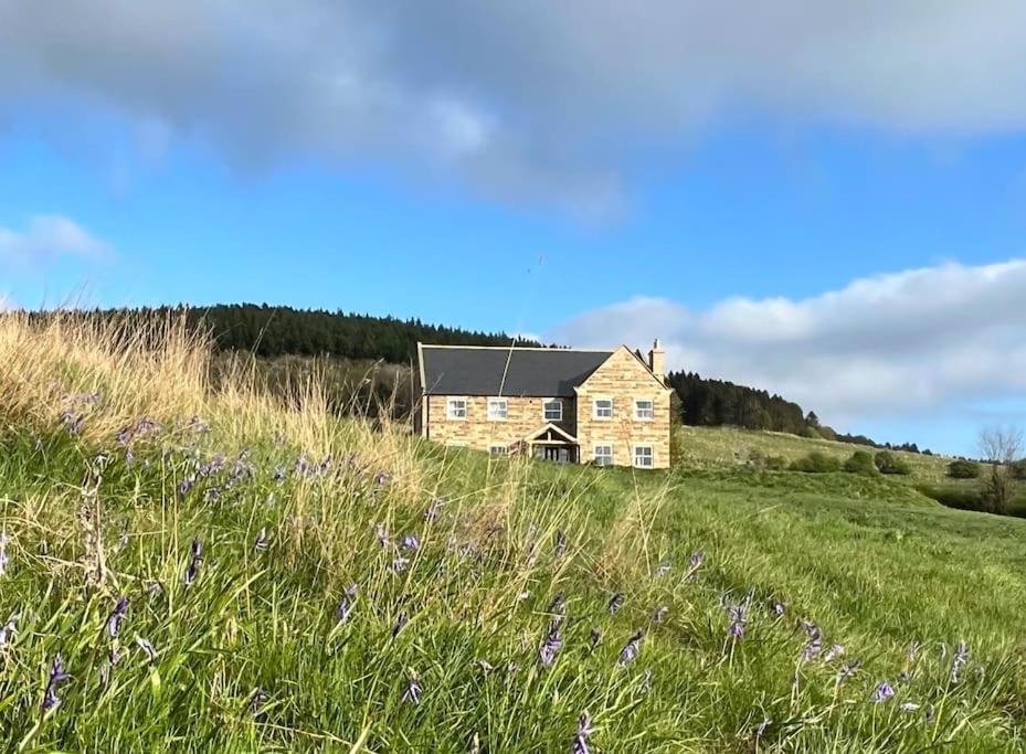 a house on a hill with a field of flowers at Foxhall Farm in Thirsk