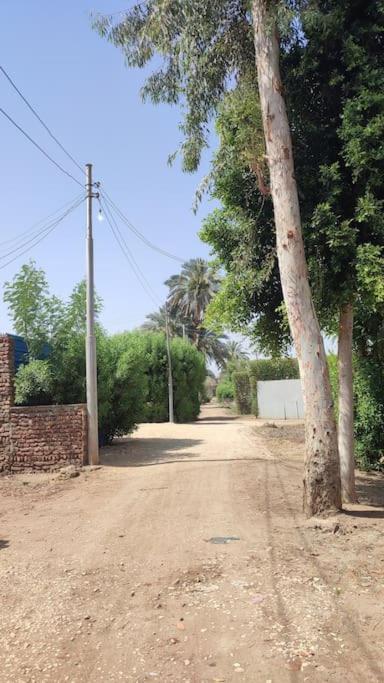 Fotografie z fotogalerie ubytování Ecolodge El Beit v destinaci Luxor
