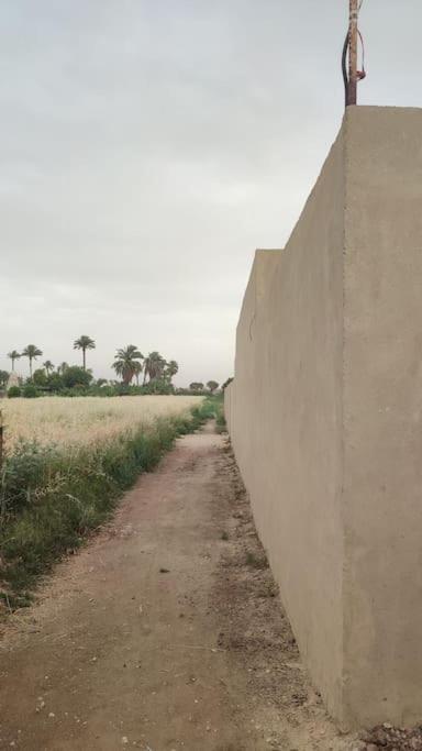 Fotografie z fotogalerie ubytování Ecolodge El Beit v destinaci Luxor
