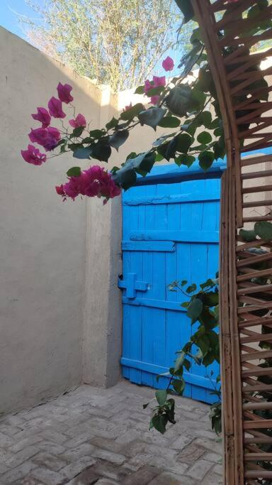 Fotografie z fotogalerie ubytování Ecolodge El Beit v destinaci Luxor