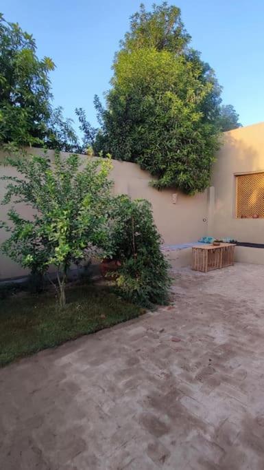 Zahrada ubytování Ecolodge El Beit