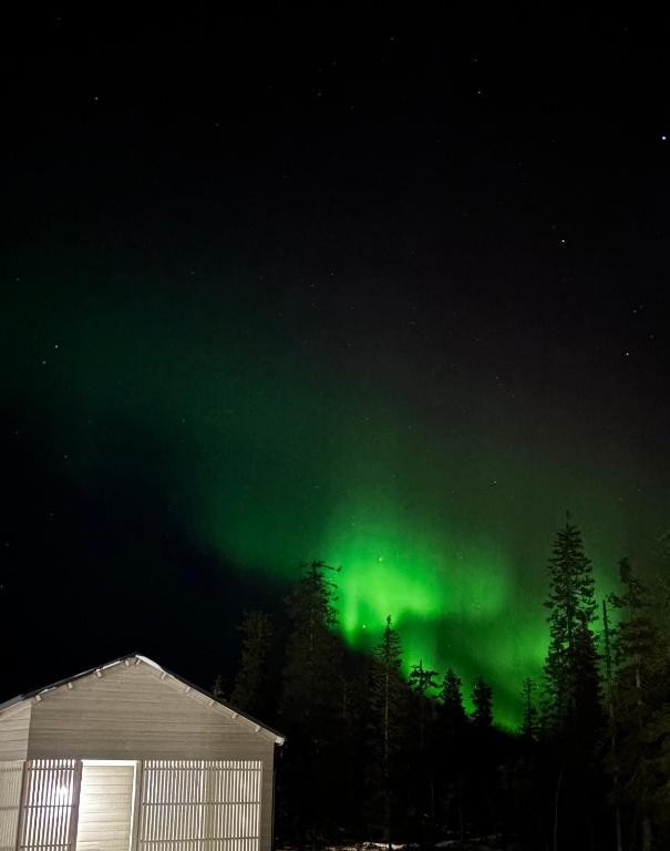 Фотография из галереи Ski-In Levi, Auroras On the Mountain в Леви