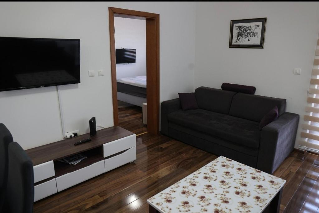 TV a/nebo společenská místnost v ubytování Apartman Petar