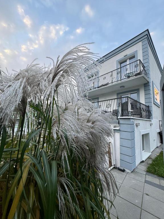 a house with a palm tree in front of it at Willa Albatros Happy Hours in Gdańsk