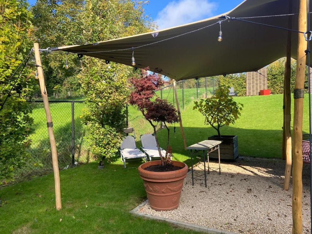 Zahrada ubytování Vakantiewoning Bisonder