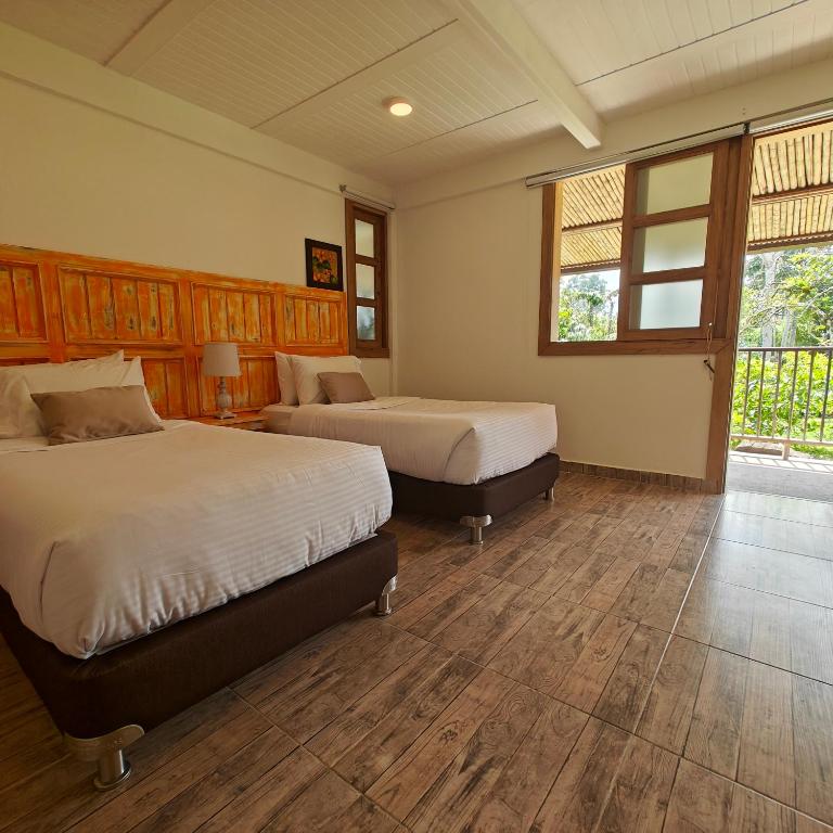 Zenith Bed & Breakfast - ツインルーム