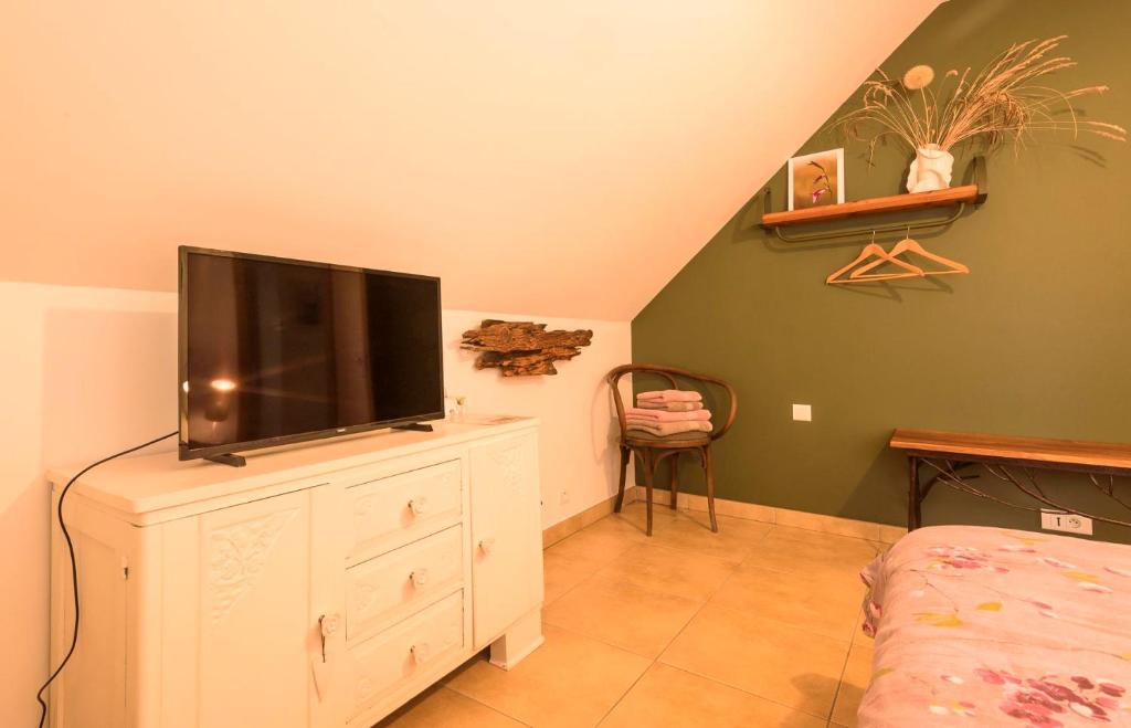 TV a/nebo společenská místnost v ubytování chambre d'hôtes de charme, un temps en forêt