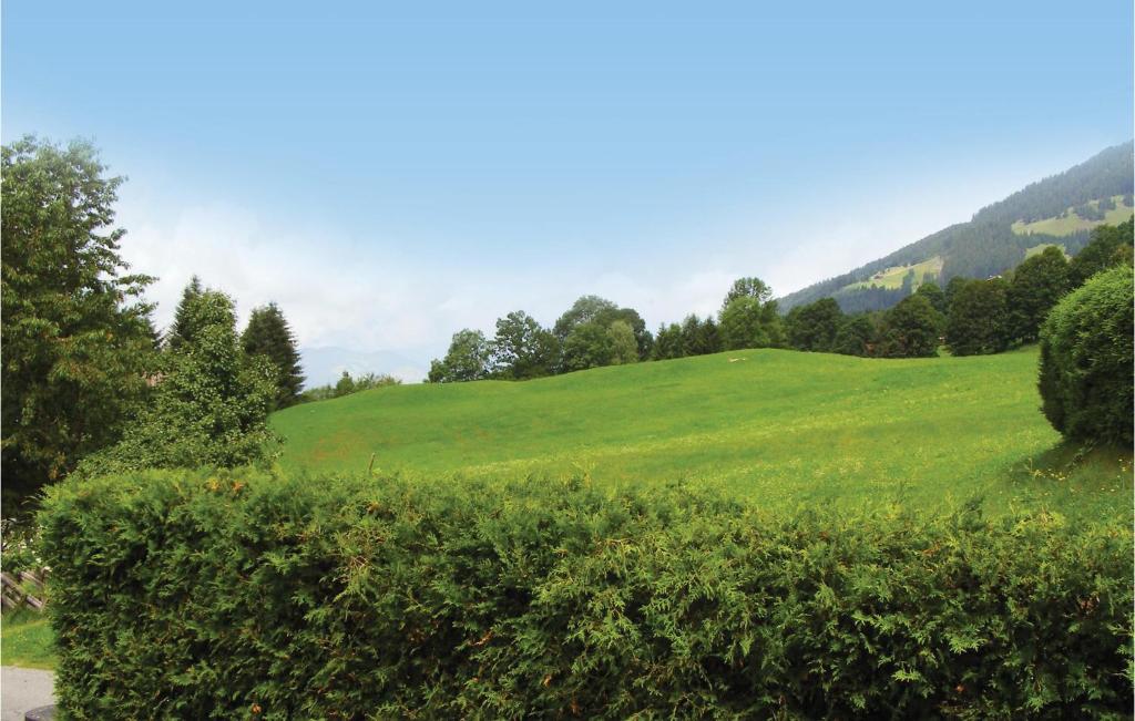 Zdjęcie z galerii obiektu Luxus- Chalet Kitzbuehel w mieście Haselwand