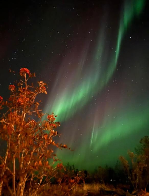 Foto sihtkohas Selfoss asuva majutusasutuse Ásahraun Guesthouse galeriist