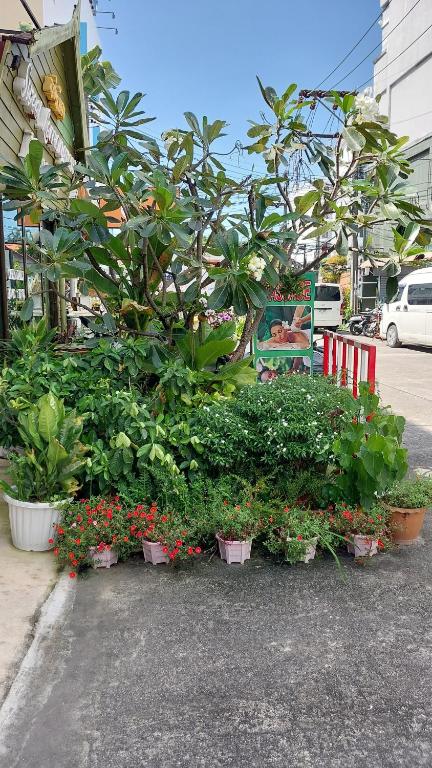 لابی و فضای عمومی بنتی هاوس - تصویر ۵