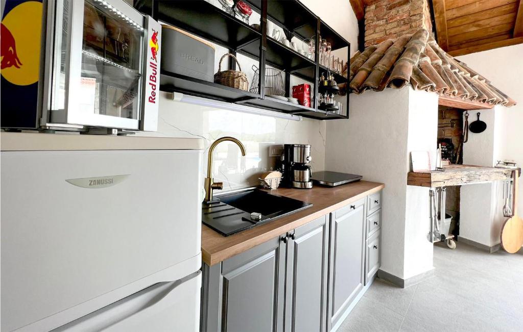 Kuchyňa alebo kuchynka v ubytovaní 4 Bedroom Cozy Home In Donja Jagodnja