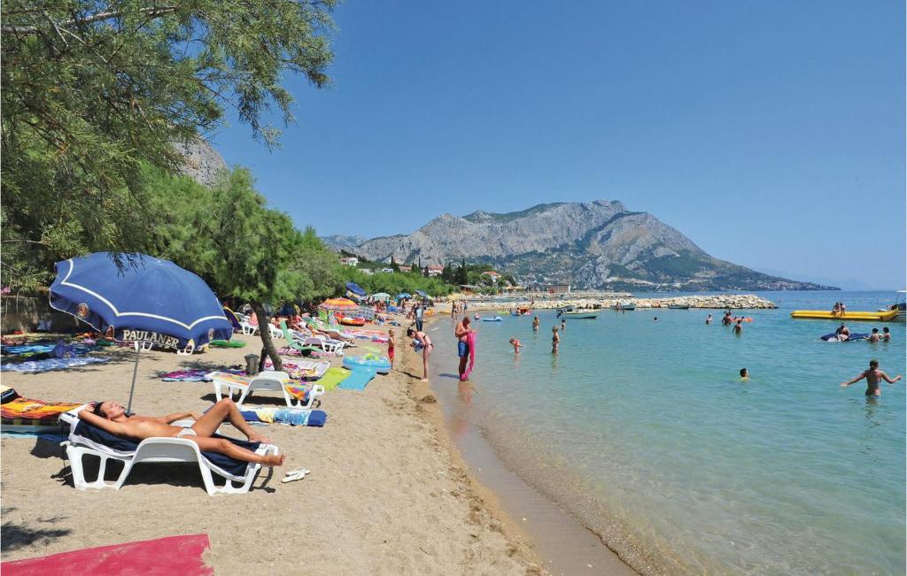 Príroda v okolí apartmánu