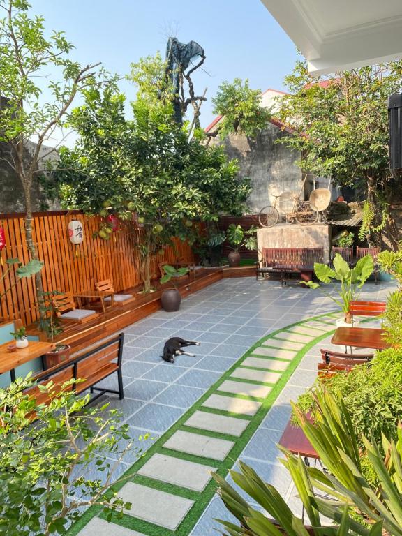 a cat is sitting on a patio with benches at Ohayo Tam Coc Homestay in Ninh Binh