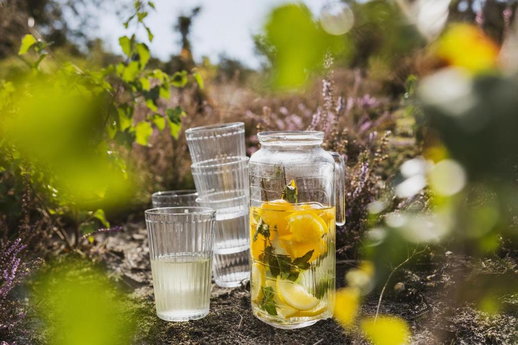 a jar of lemonade and two glasses of water at Bij de Buurman in Dalmsholte
