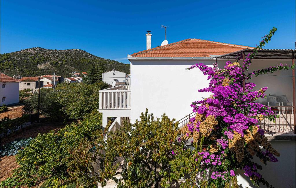 Γενική θέα στο βουνό ή θέα στο βουνό από  αυτό το διαμέρισμα