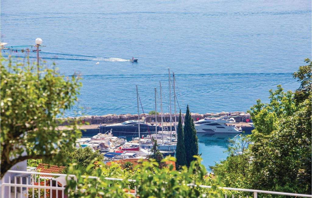 Príroda v okolí apartmánu