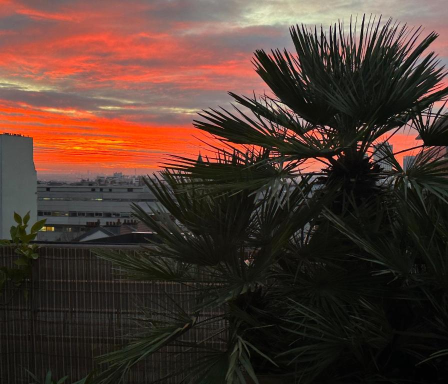 un palmier avec un coucher de soleil en arrière-plan dans l'établissement Air conditioned apartment 78 m2, Terrace 50m2, à Paris