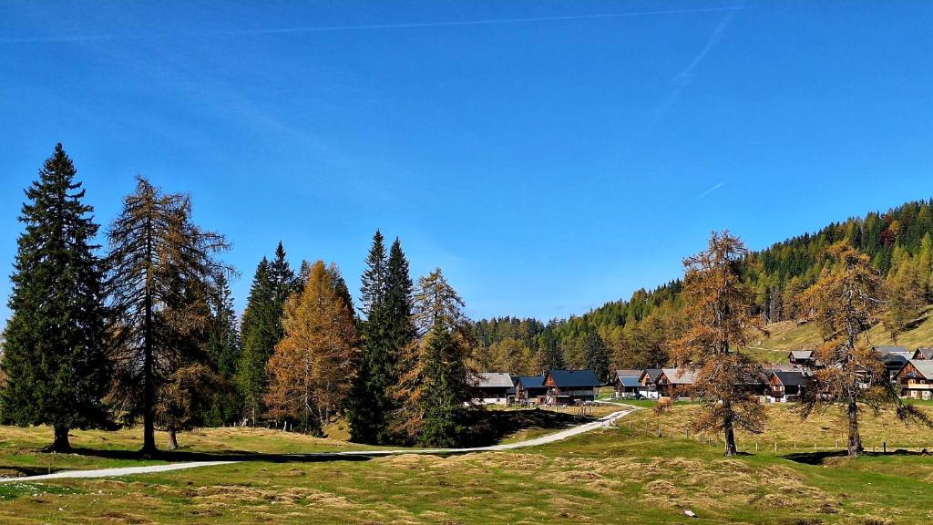 Příroda nedaleko apartmánu