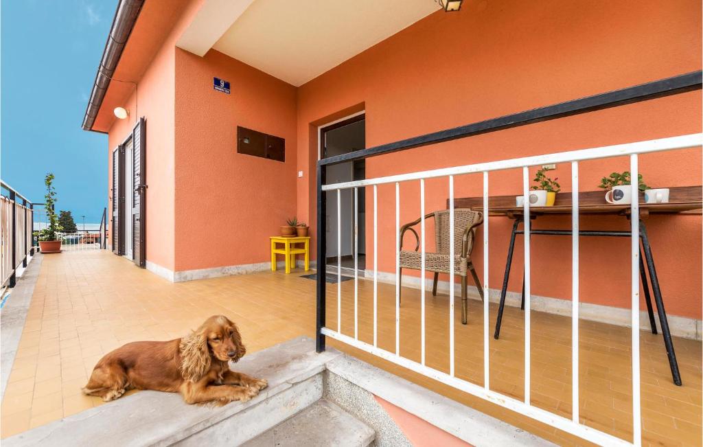 Zwierzęta zatrzymujące się w obiekcie 2 Bedroom Lovely Apartment In Fazana
