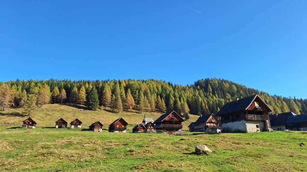 Příroda nedaleko apartmánu