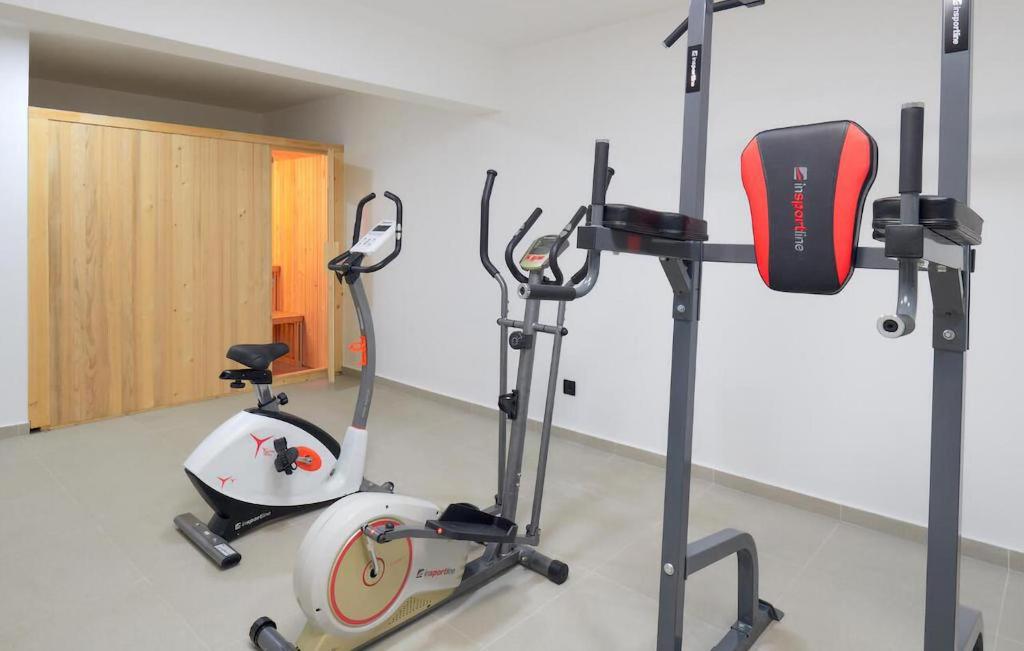 Posilňovňa alebo fitness centrum v ubytovaní Lovely Home In Makarska With Sauna