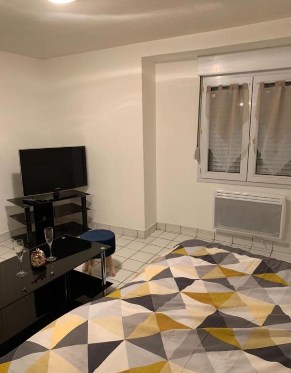 un salon avec un lit et une télévision dans l'établissement Studio centre ville Angers, à Angers