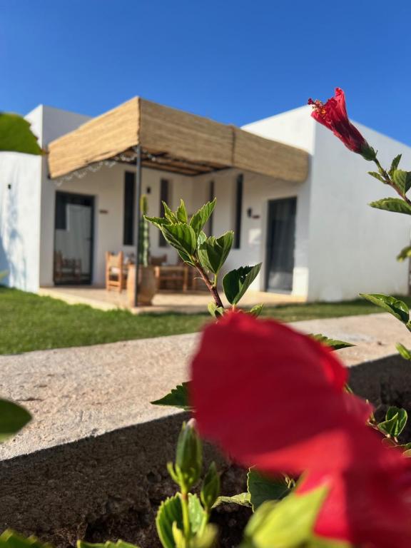 Zahrada ubytování Villa Manzar piscine chauffée