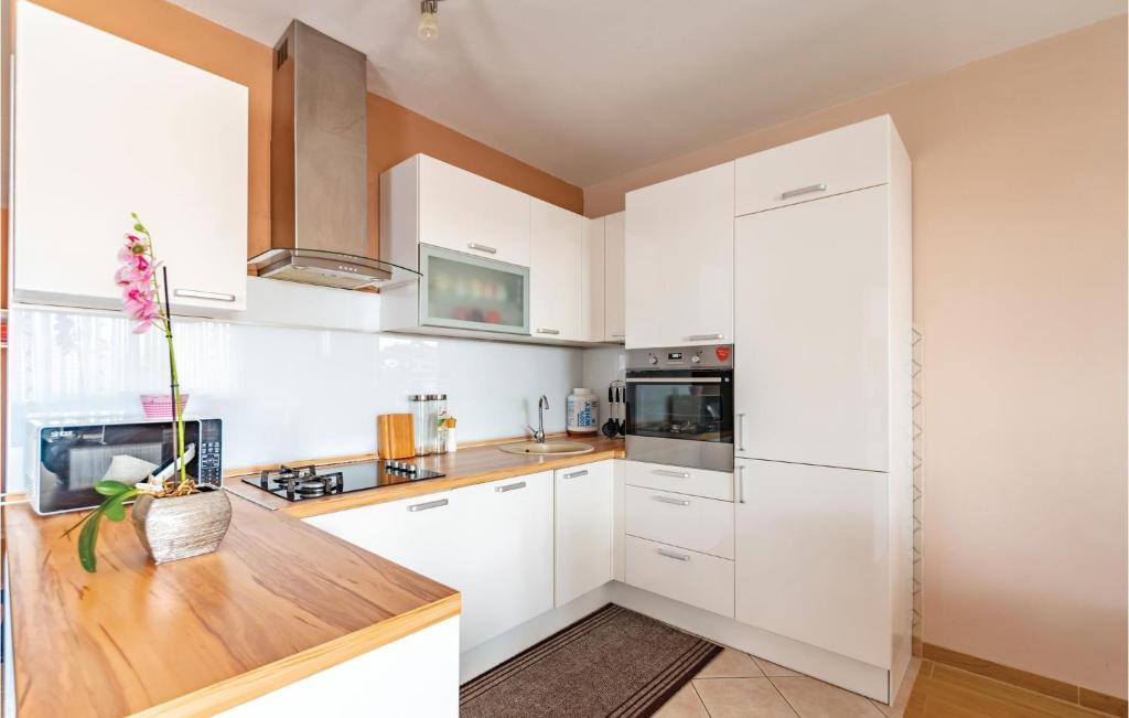 Kuchyňa alebo kuchynka v ubytovaní 2 Bedroom Stunning Apartment In Orebic