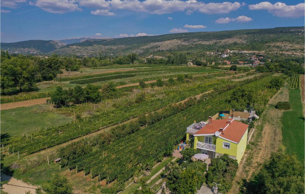 Príroda v okolí dovolenkového domu