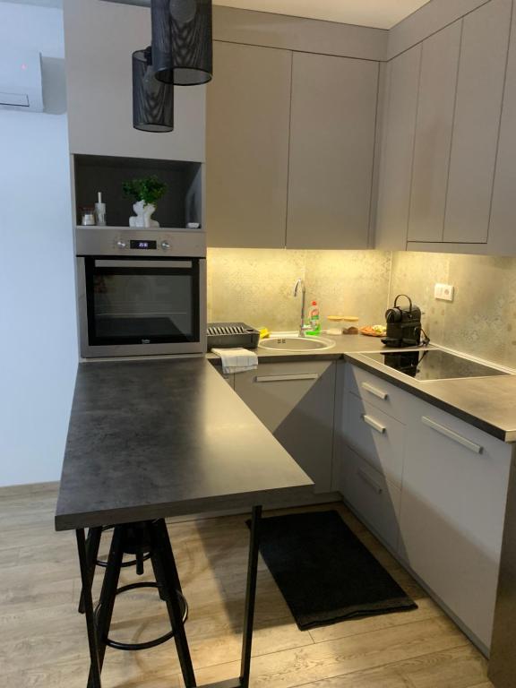 Kuchyň nebo kuchyňský kout v ubytování Knebl Apartman