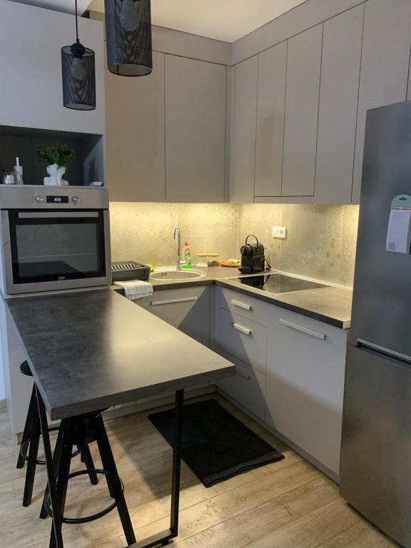 Kuchyň nebo kuchyňský kout v ubytování Knebl Apartman