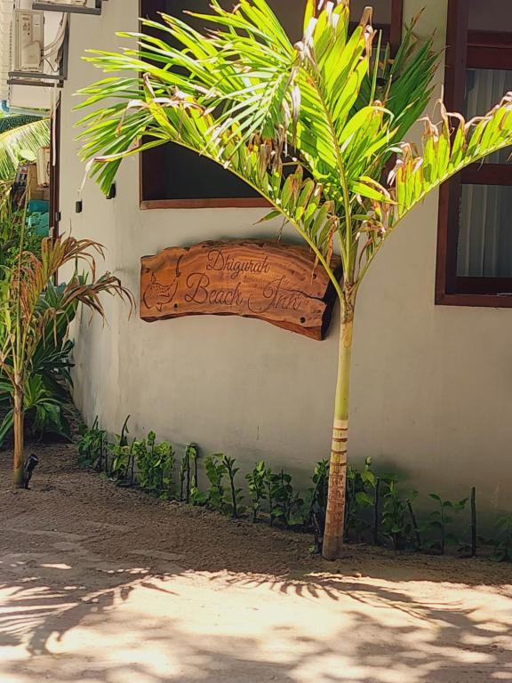 Zahrada ubytování Dhigurah Beach Inn